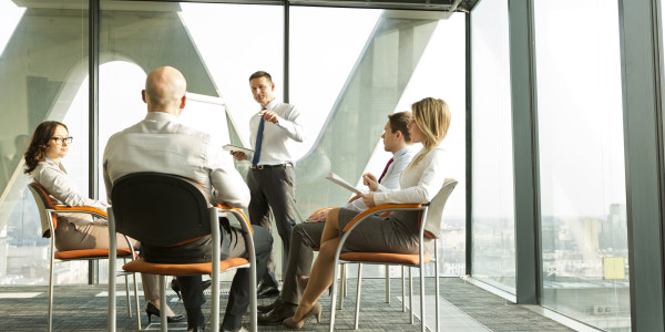 Coaching Emocional para Ejecutivos y Equipos Directivos en Pirineus · Cohesión del equipo