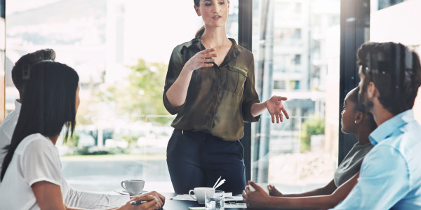 Coaching Emocional para Ejecutivos y Equipos Directivos en Pirineus · Gestión de equipos