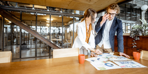 Coaching Emocional para Ejecutivos y Equipos Directivos en Pirineus · Toma de decisiones